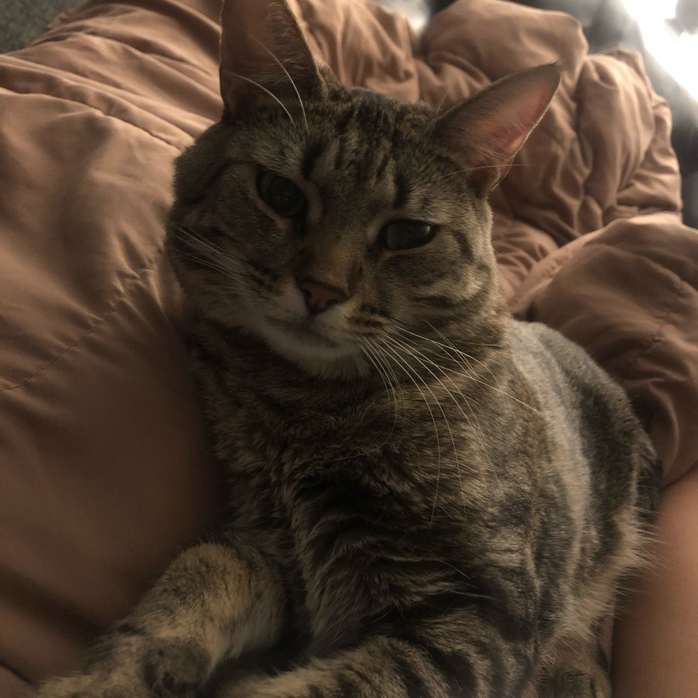 Meet your Posher, Ashley